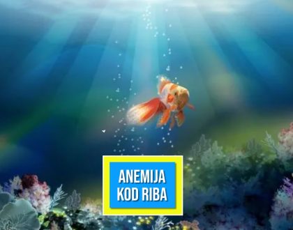 ANEMIJA KOD RIBA