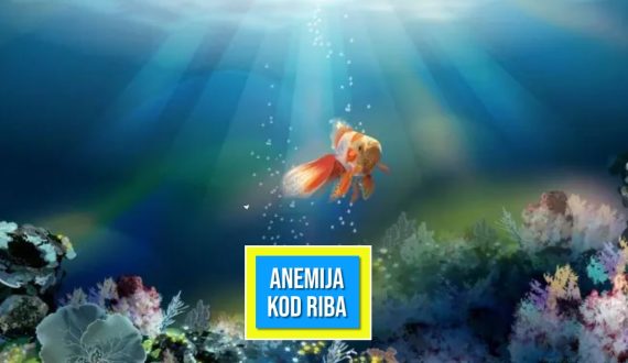 ANEMIJA KOD RIBA