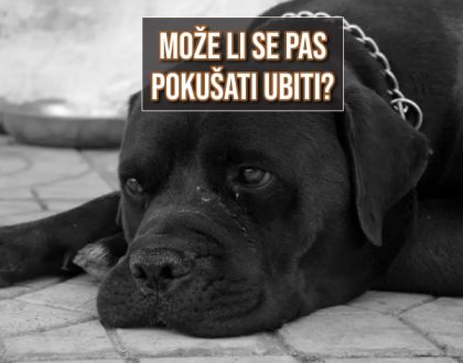 MOŽE LI SE PAS POKUŠATI UBITI