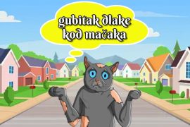 gubitak dlake kod mačaka_