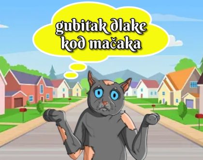 gubitak dlake kod mačaka_