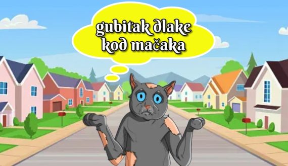 gubitak dlake kod mačaka_