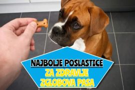 najbolje poslastice za zdravlje zglobova pasa_