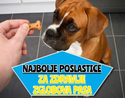 najbolje poslastice za zdravlje zglobova pasa_