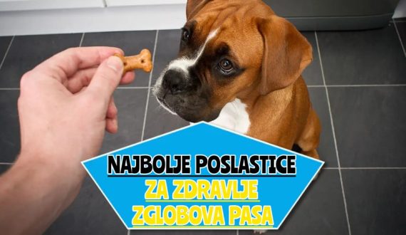 najbolje poslastice za zdravlje zglobova pasa_
