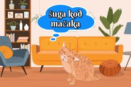 šuga kod mačaka
