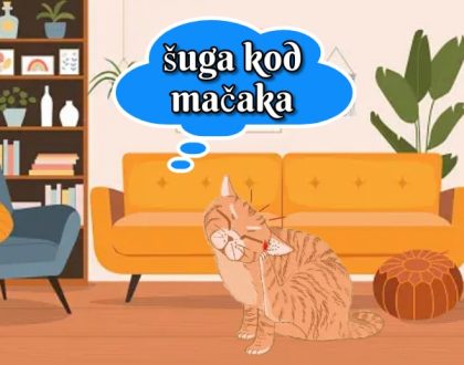 šuga kod mačaka