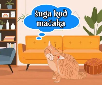 šuga kod mačaka
