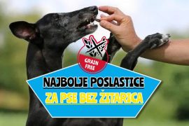 Najbolje poslastice za pse bez žitarica