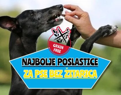 Najbolje poslastice za pse bez žitarica