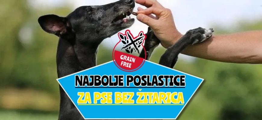 Najbolje poslastice za pse bez žitarica