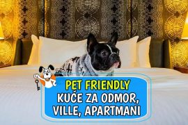 PET FRIENDLY, KUĆE ZA ODMOR, VILLE, APARTMANI_