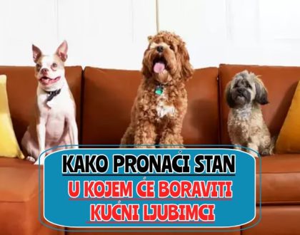 kako pronaći stan u kojem će boraviti kućni ljubimci_