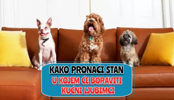 kako pronaći stan u kojem će boraviti kućni ljubimci_