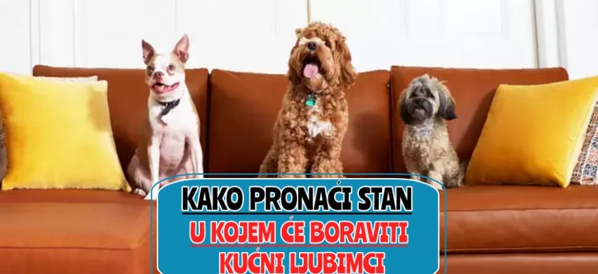kako pronaći stan u kojem će boraviti kućni ljubimci_
