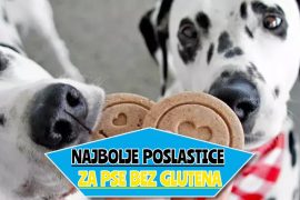 najbolje poslastice za pse bez glutena_