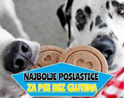 najbolje poslastice za pse bez glutena_