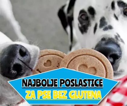 najbolje poslastice za pse bez glutena_