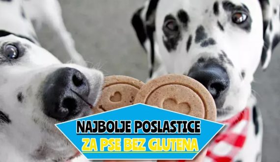 najbolje poslastice za pse bez glutena_