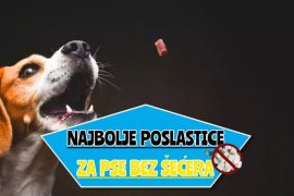 najbolje poslastice za pse bez šećera__