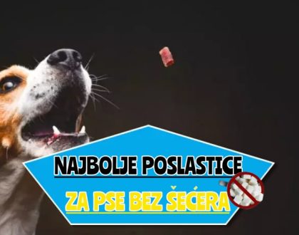 najbolje poslastice za pse bez šećera__