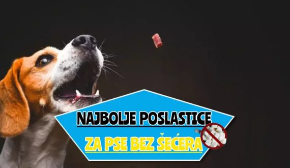 najbolje poslastice za pse bez šećera__