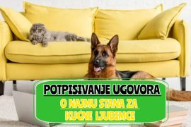 potpisivanje ugovora o najmu stana za kućne ljubimce_