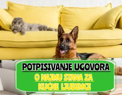 potpisivanje ugovora o najmu stana za kućne ljubimce_