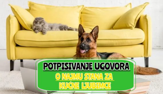 potpisivanje ugovora o najmu stana za kućne ljubimce_