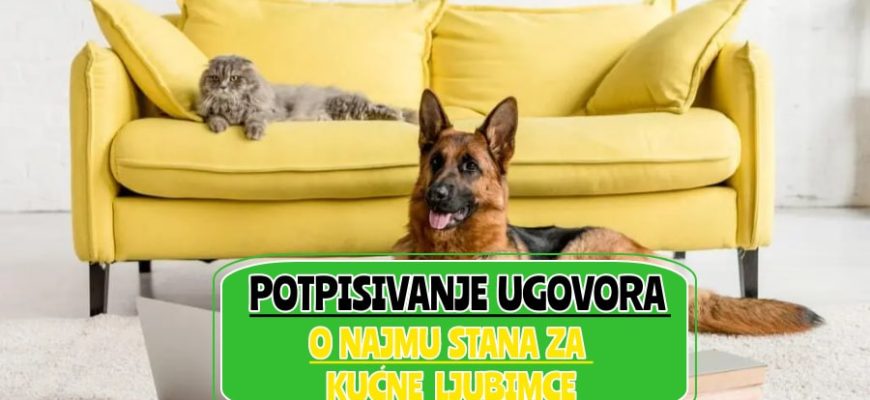 potpisivanje ugovora o najmu stana za kućne ljubimce_