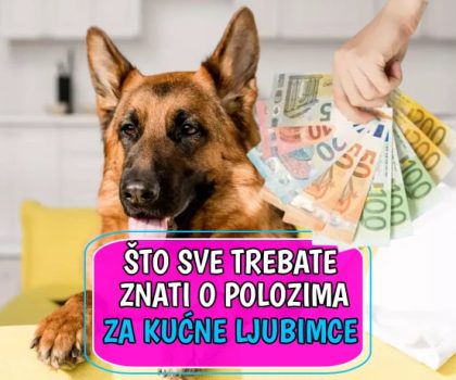 sve što trebate znati o polozima za kućne ljubimce