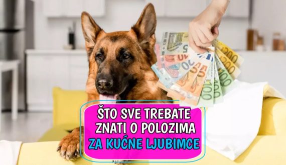 sve što trebate znati o polozima za kućne ljubimce