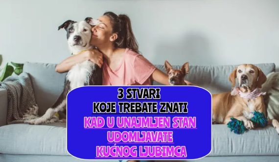 _tri stvari koje trebate znati kad u unajmljen stan udomljavate kućnog ljubimca_
