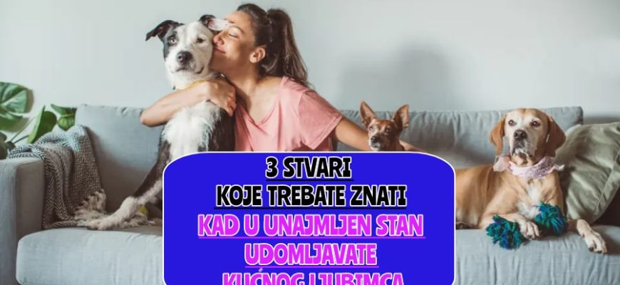 _tri stvari koje trebate znati kad u unajmljen stan udomljavate kućnog ljubimca_
