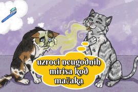 Uzroci neugodnih mirisa kod mačaka