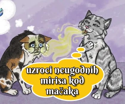 Uzroci neugodnih mirisa kod mačaka