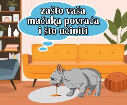 zašto vaša mačka povraća i što učiniti_