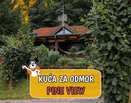 Kuća za odmor Pine View