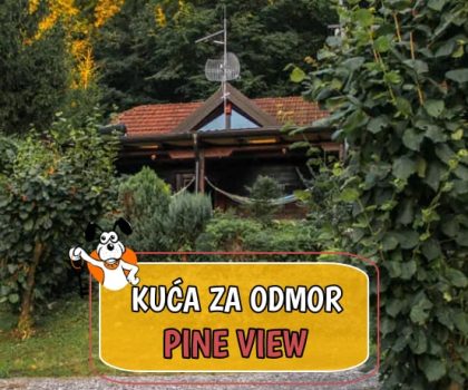 Kuća za odmor Pine View