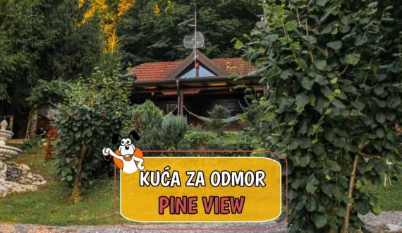 Kuća za odmor Pine View