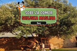 Kuće za odmor Senjska Maslina