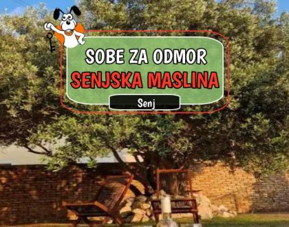 Kuće za odmor Senjska Maslina
