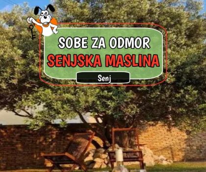 Kuće za odmor Senjska Maslina
