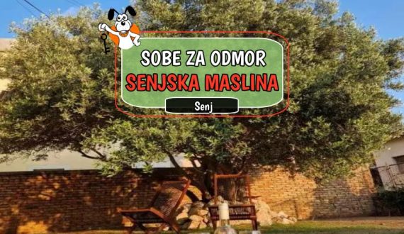 Kuće za odmor Senjska Maslina