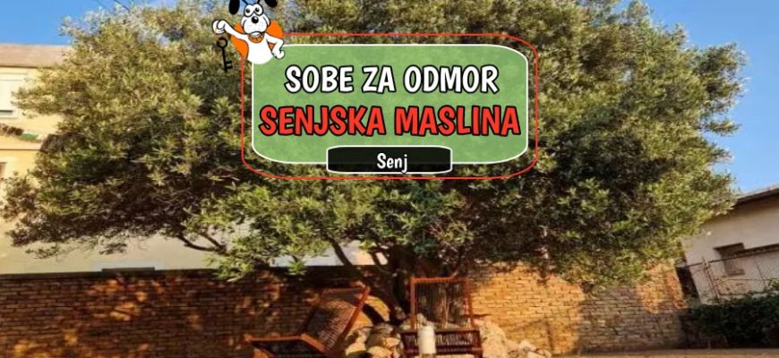 Kuće za odmor Senjska Maslina