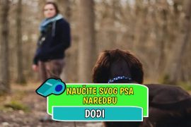 Naučite psa naredbu dođi