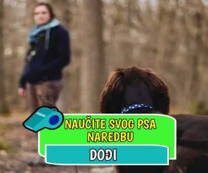 Naučite psa naredbu dođi