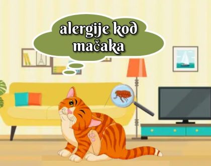 alergije kod mačaka