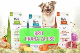 Brit hrana za pse