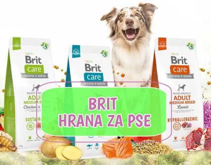 Brit hrana za pse